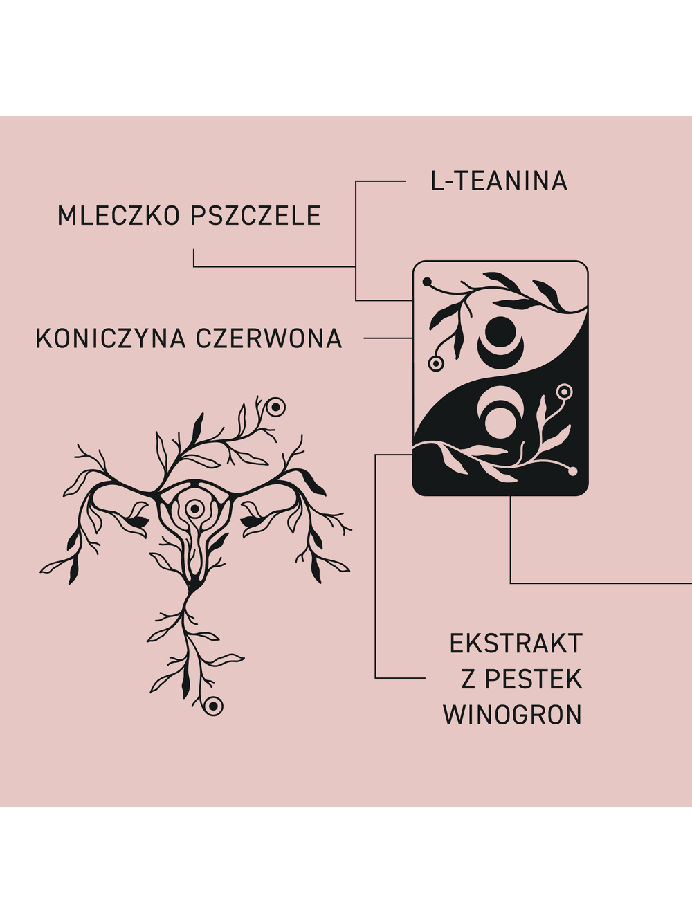 Demeter