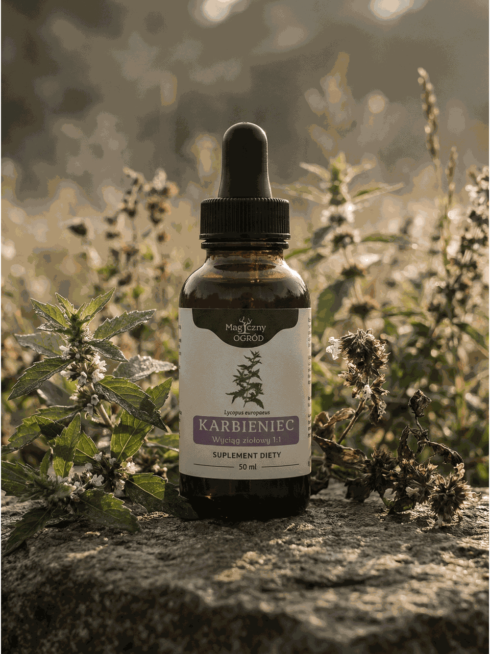 Karbieniec nalewka 1:1