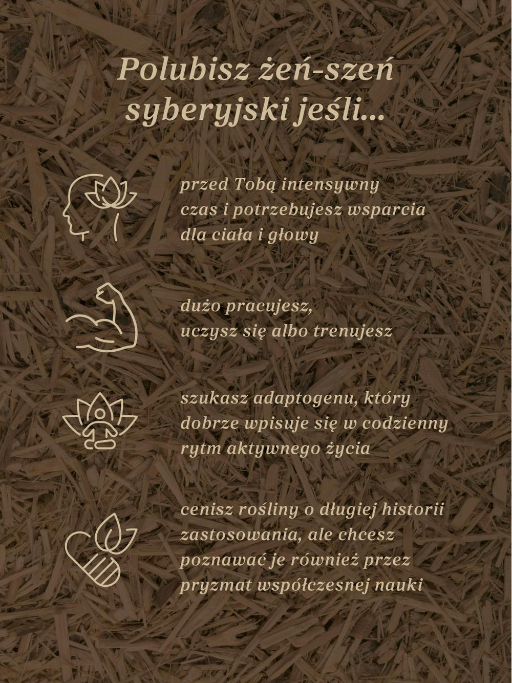 Żeń-szeń syberyjski nalewka 1:1