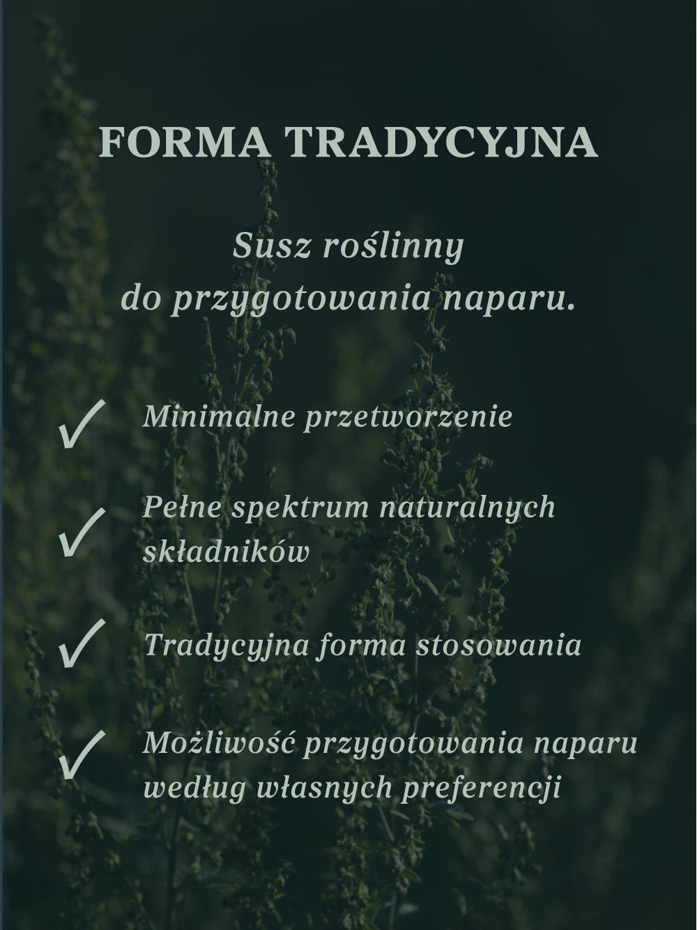 Piołun ziele