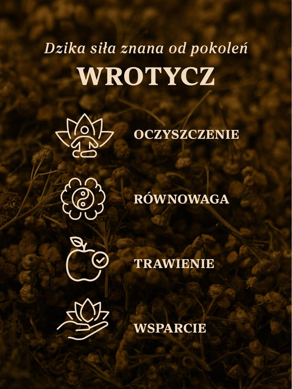 Wrotycz kwiat dziko rosnący
