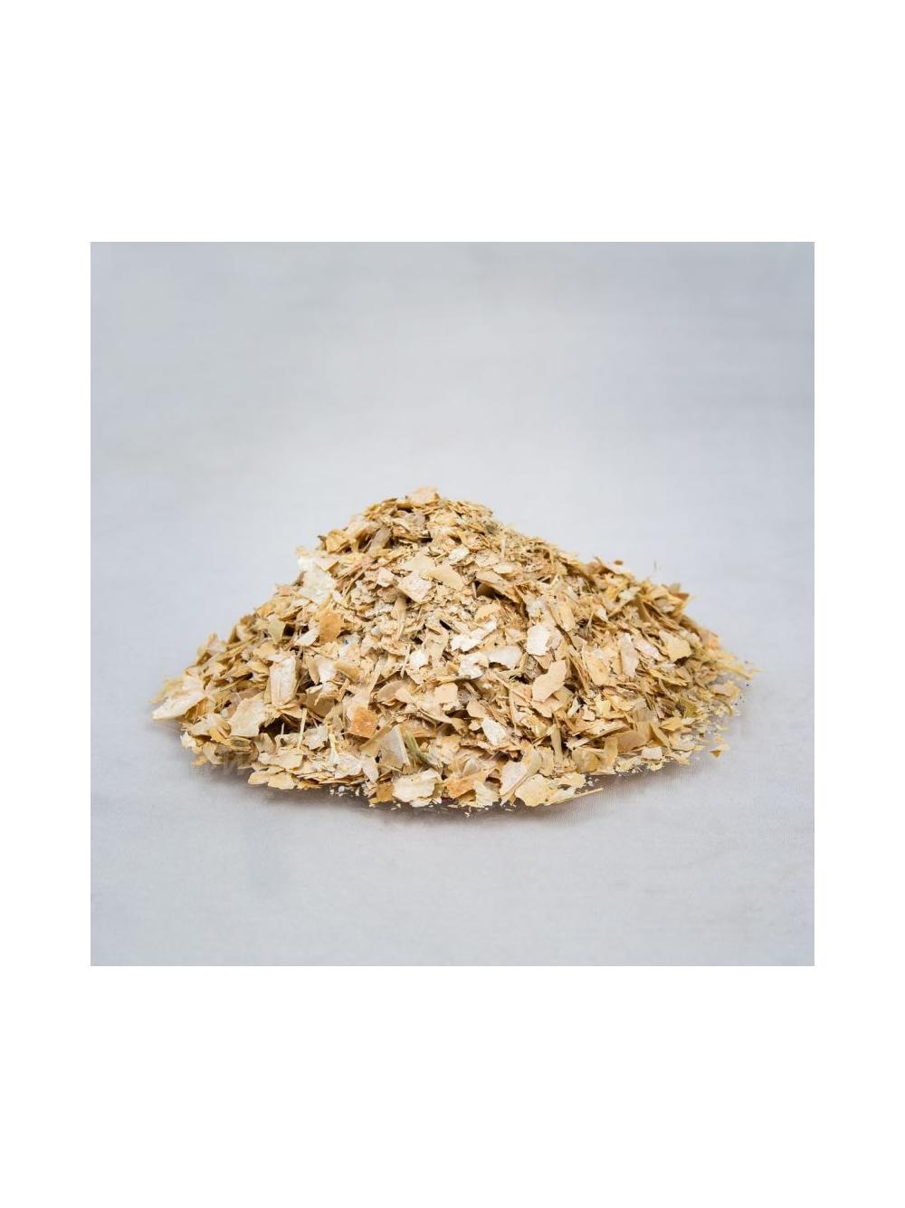 Naowocnia fasoli