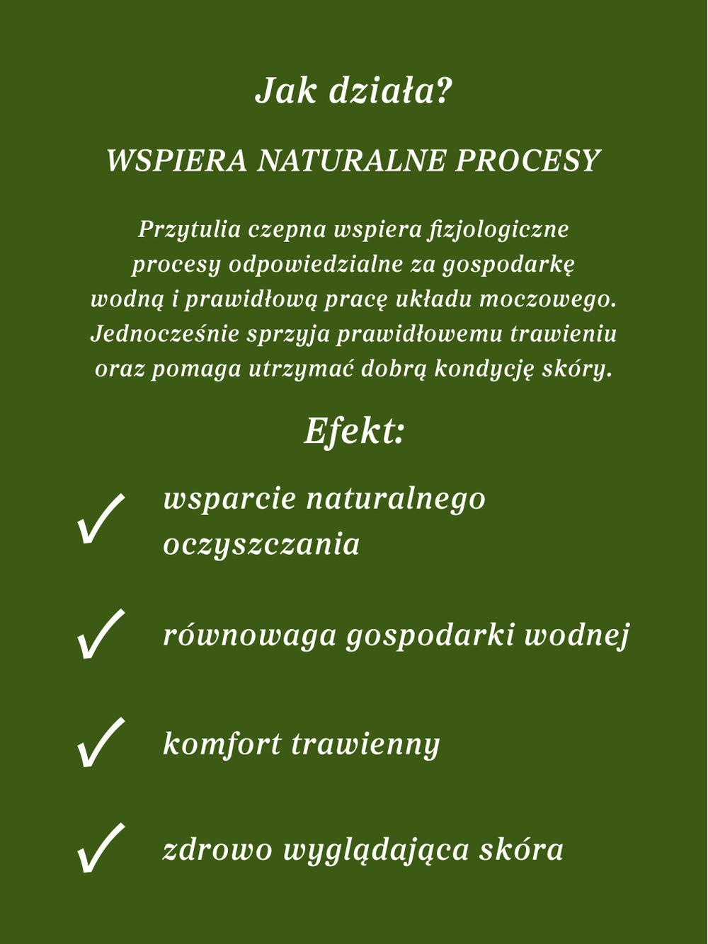 Przytulia czepna ziele