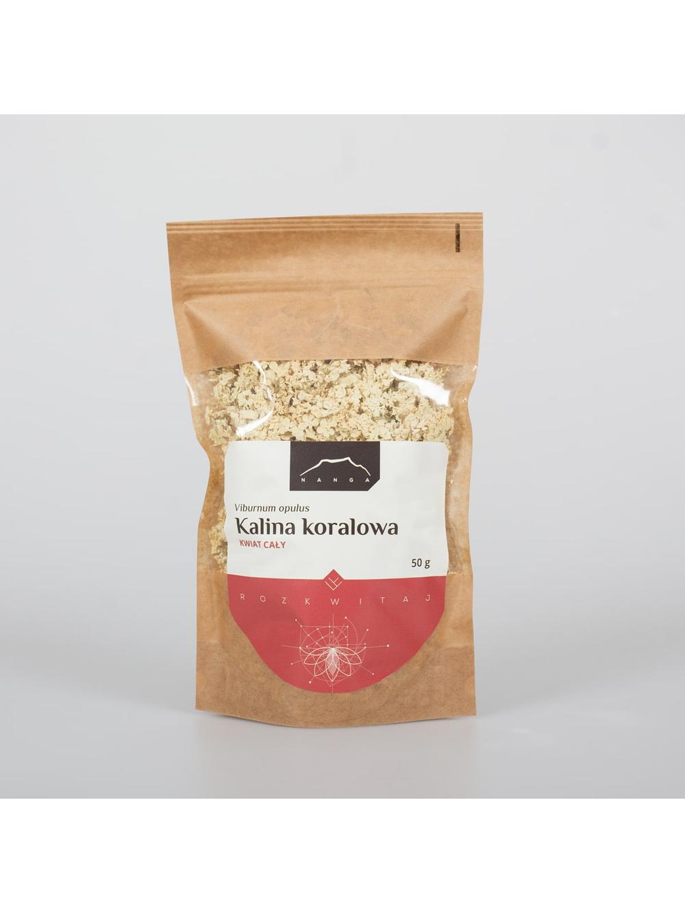 Kalina koralowa kwiat