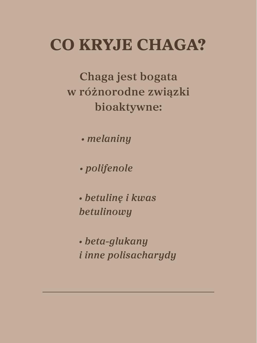 Czaga - guz brzozy