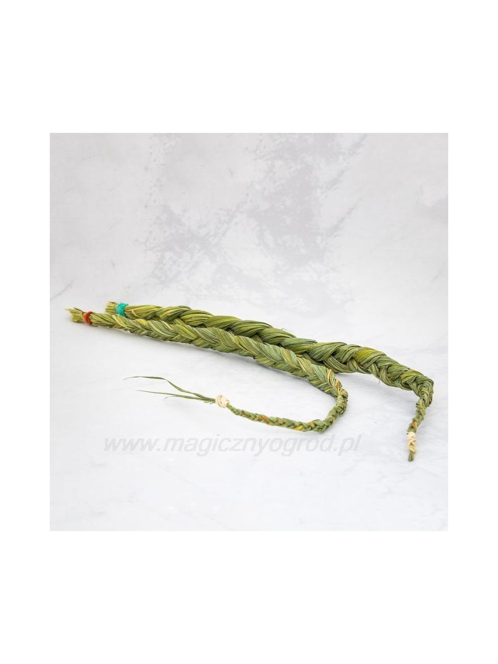 Trawa żubrówka (sweetgrass)