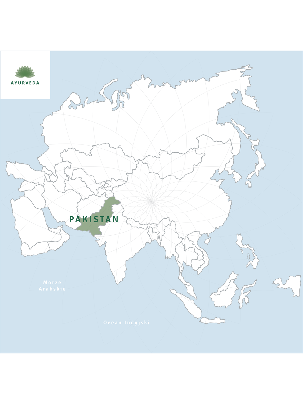Róża czerwona płatki kwiatu