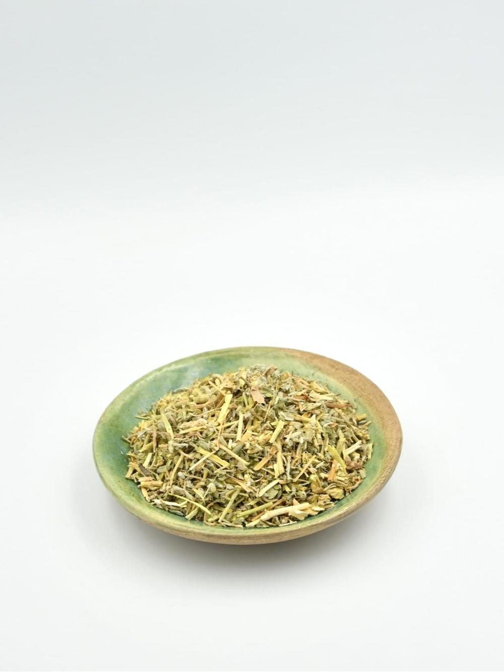 Tribulus terrestris ziele