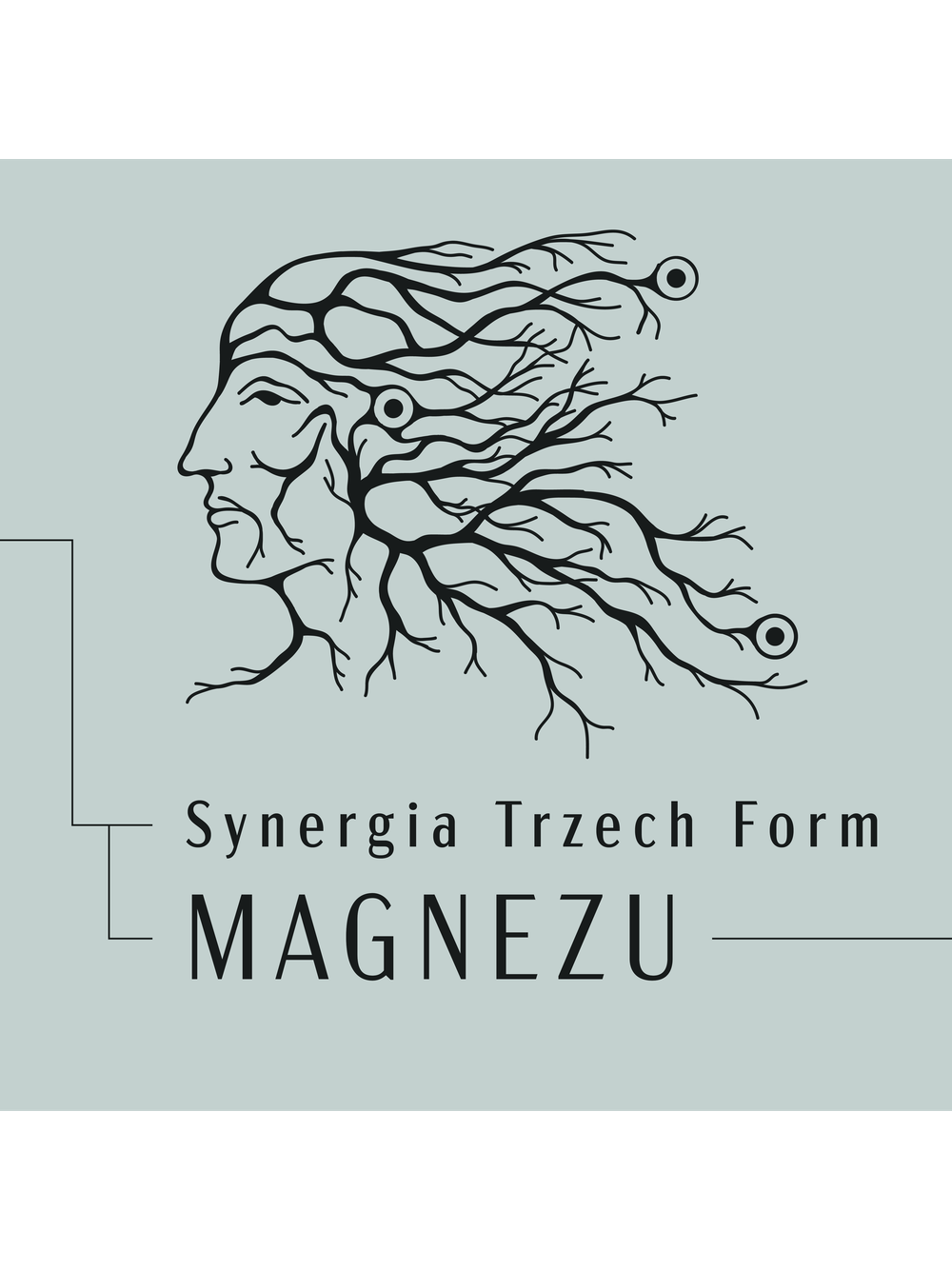 3 Magów
