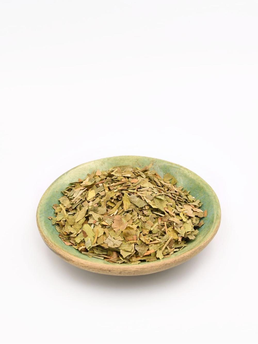 Ginkgo biloba liść