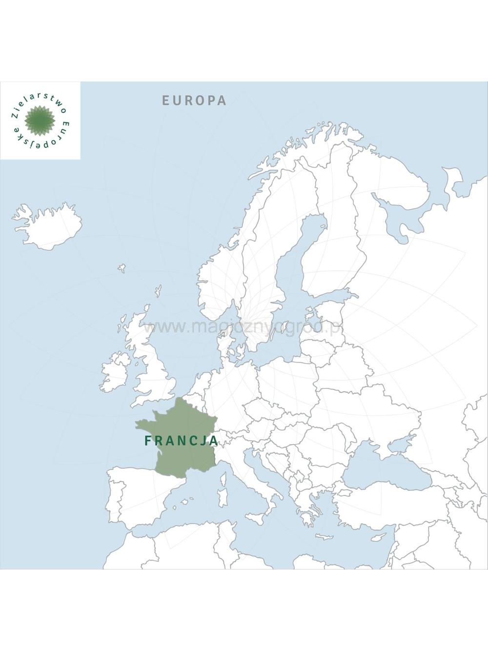 Olejek lawendowy Prowansja 100% eteryczny Nanga spożywczy