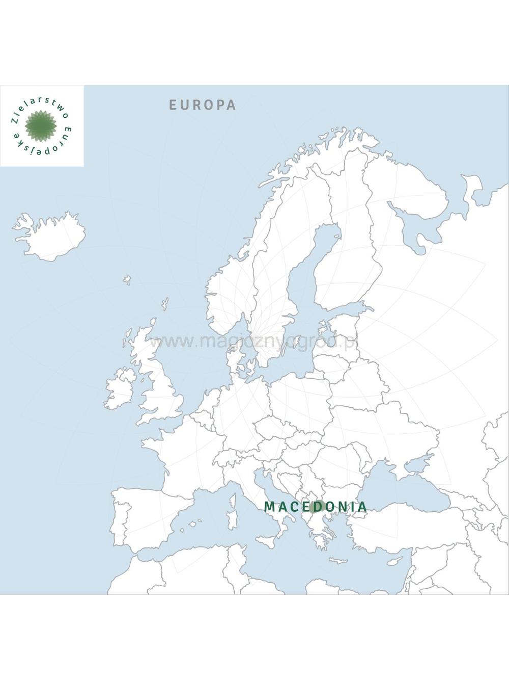 Usnea - brodaczka
