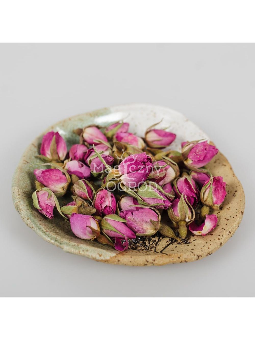 Róża damasceńska kwiat