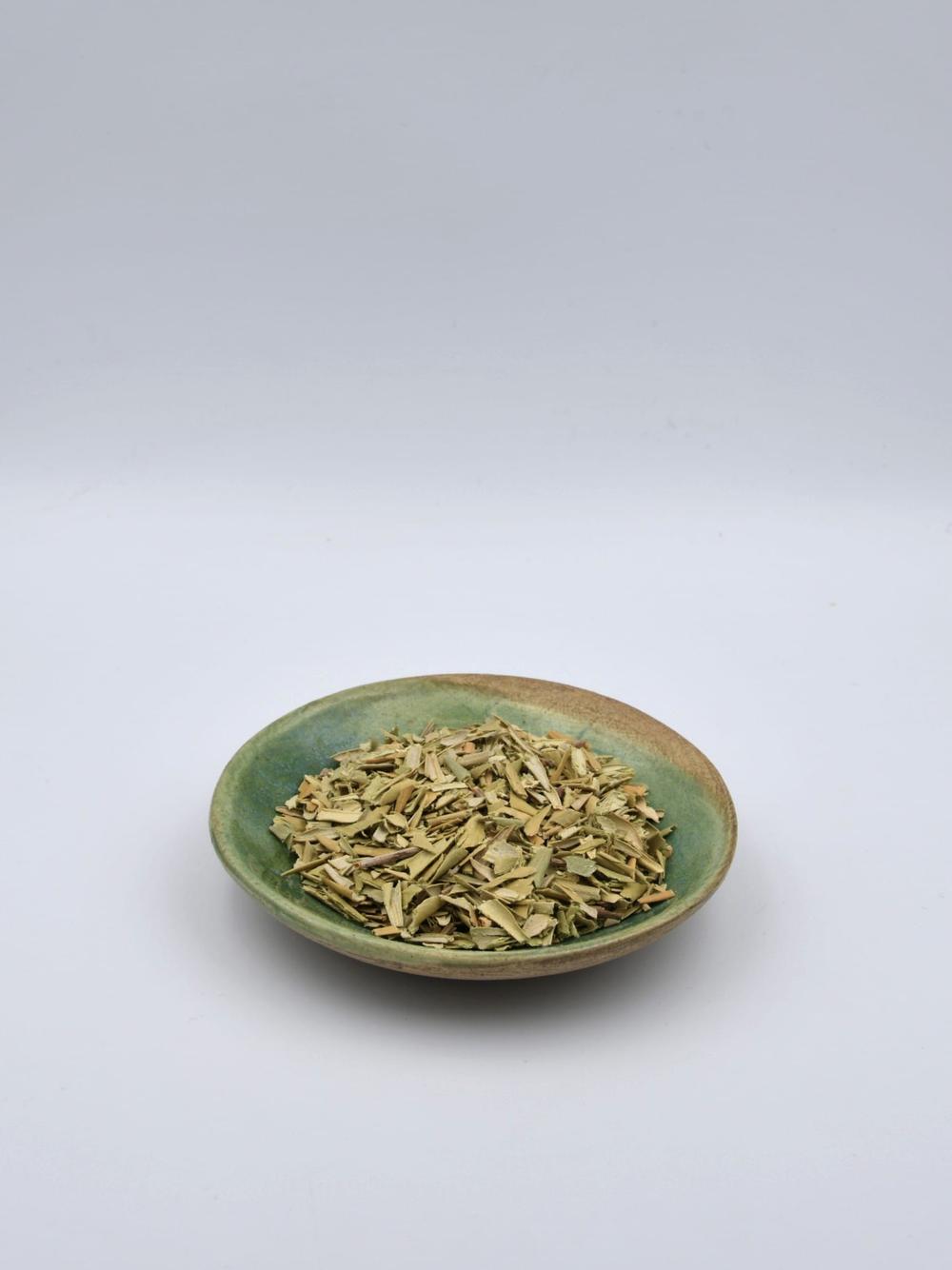 Oliwka europejska liść