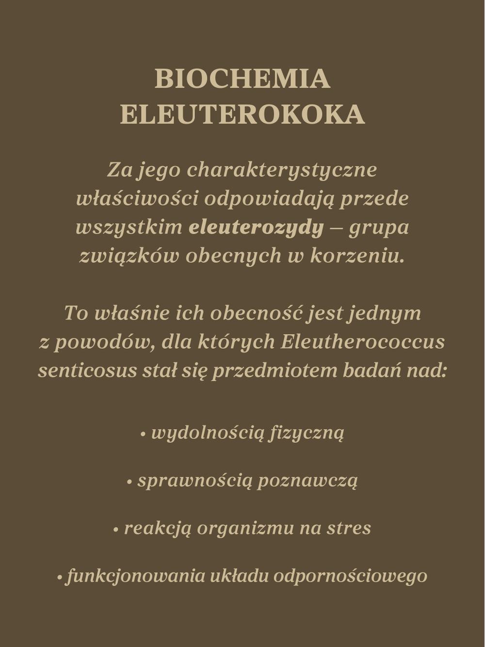 Żeń-szeń syberyjski kapsułki x 400 mg