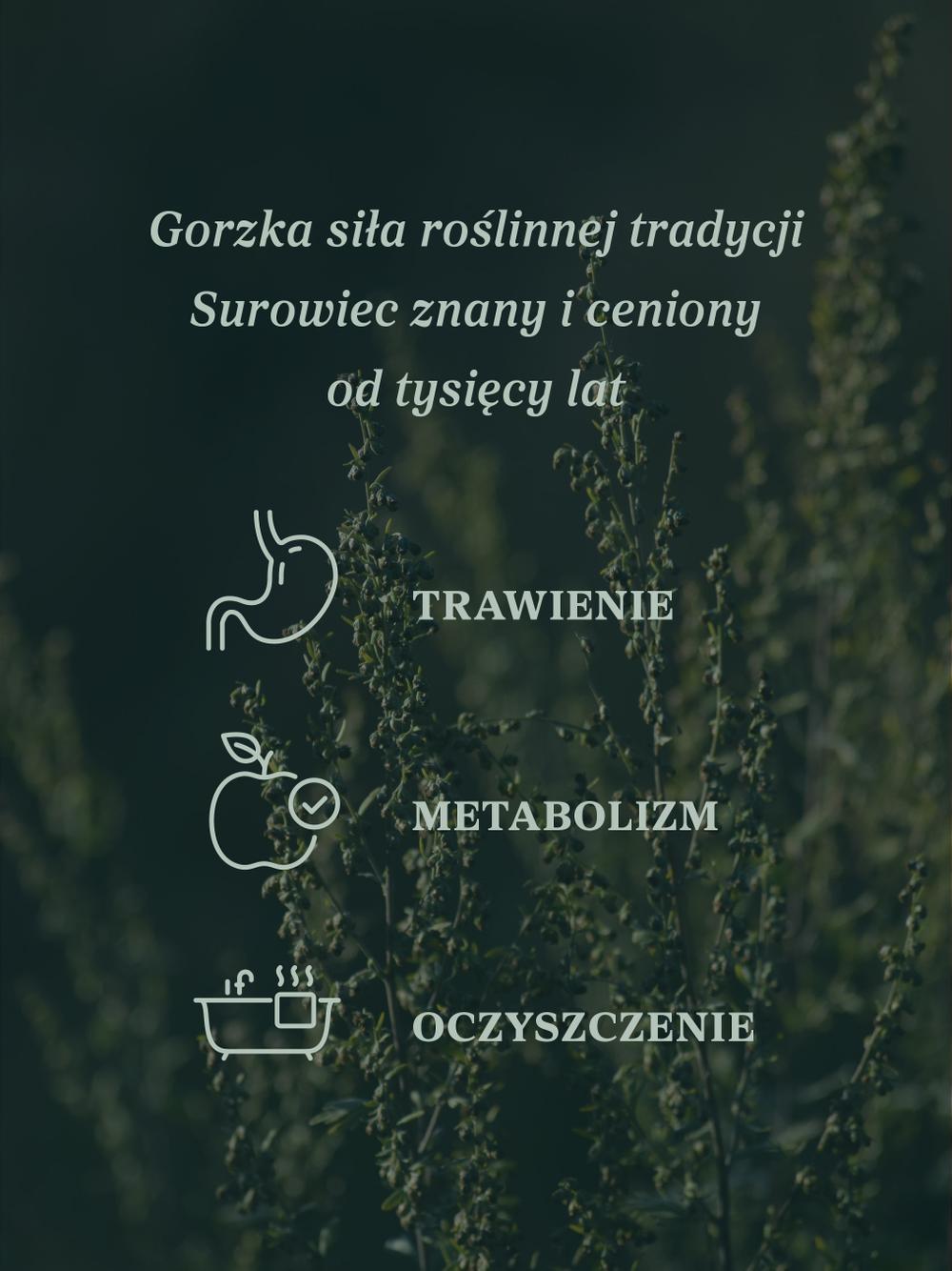 Piołun ziele