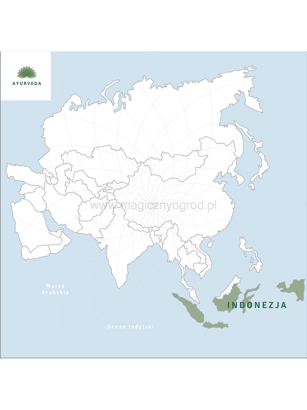 Benzoe Sumatra