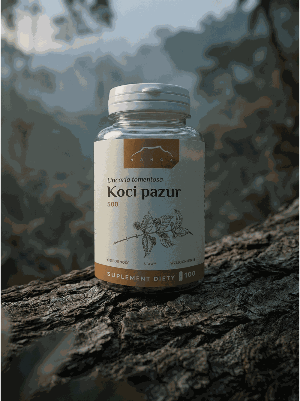 Koci pazur - vilcacora kapsułki x 500 mg
