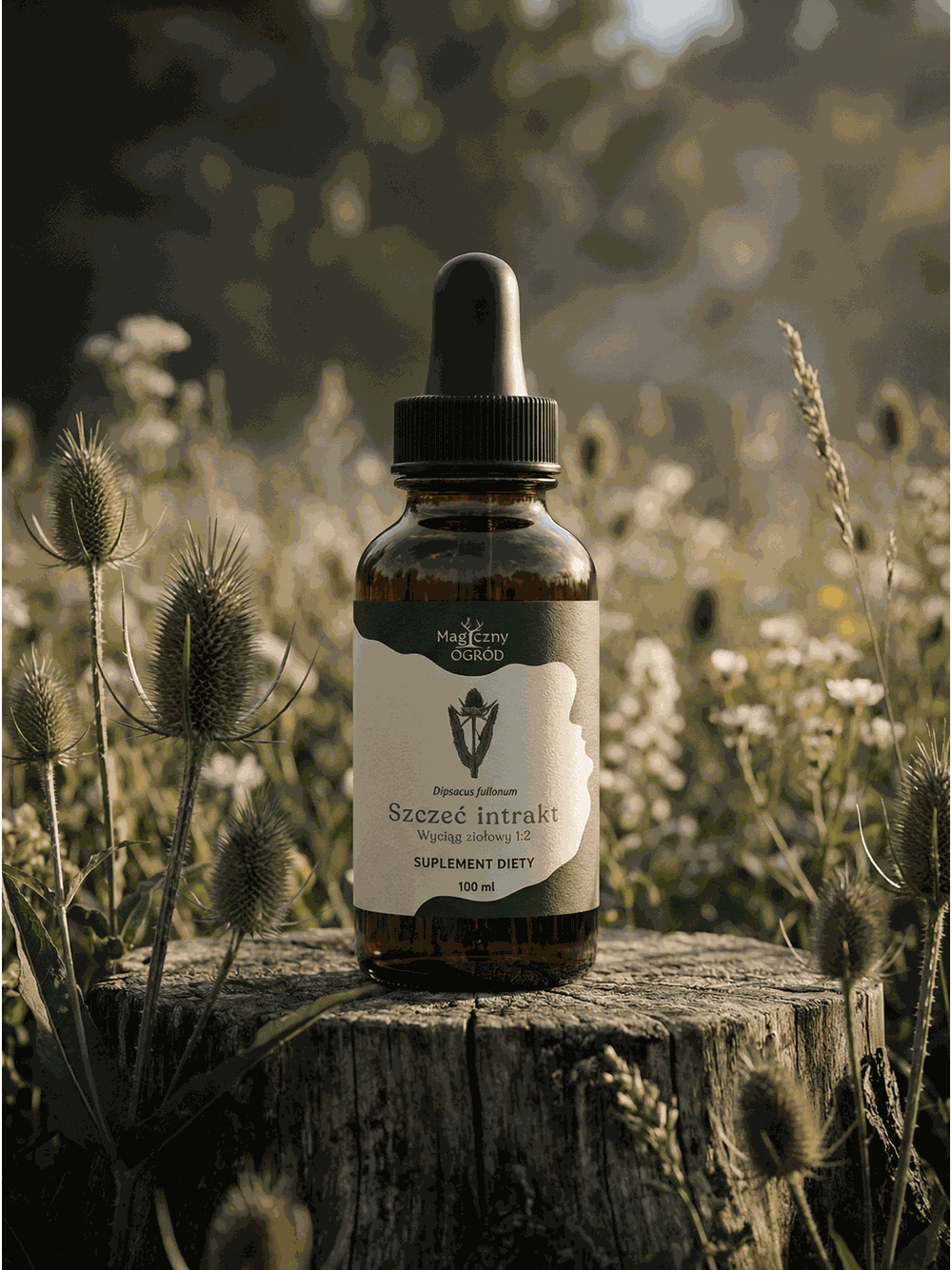 Szczeć intrakt 1:2 100ml