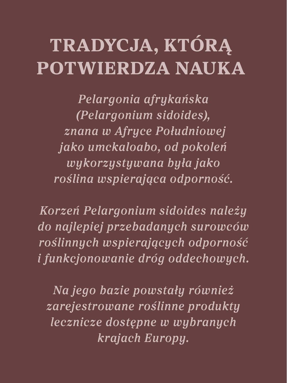Pelargonia afrykańska wyciąg ziołowy 1:5