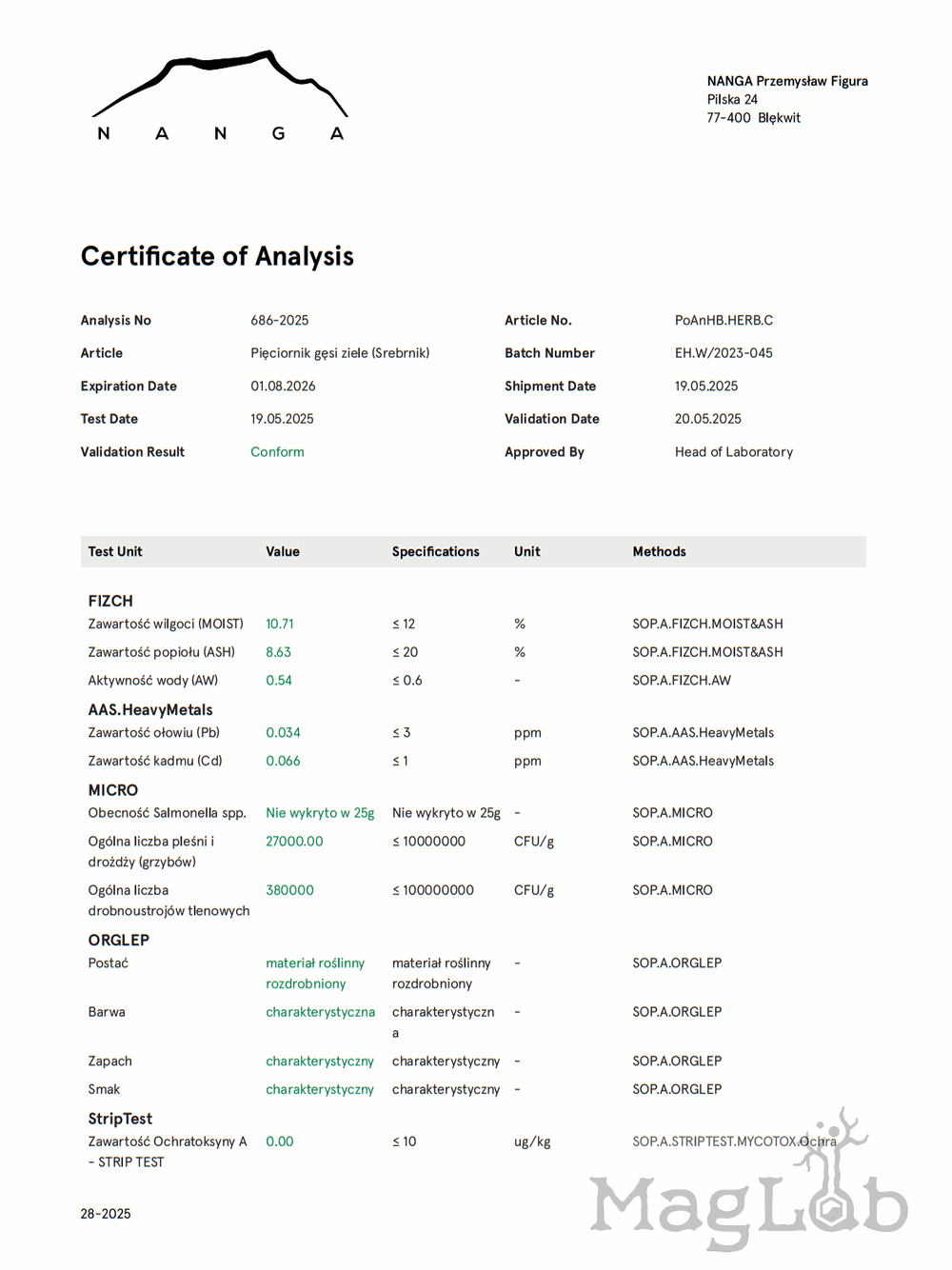 Pięciornik gęsi ziele