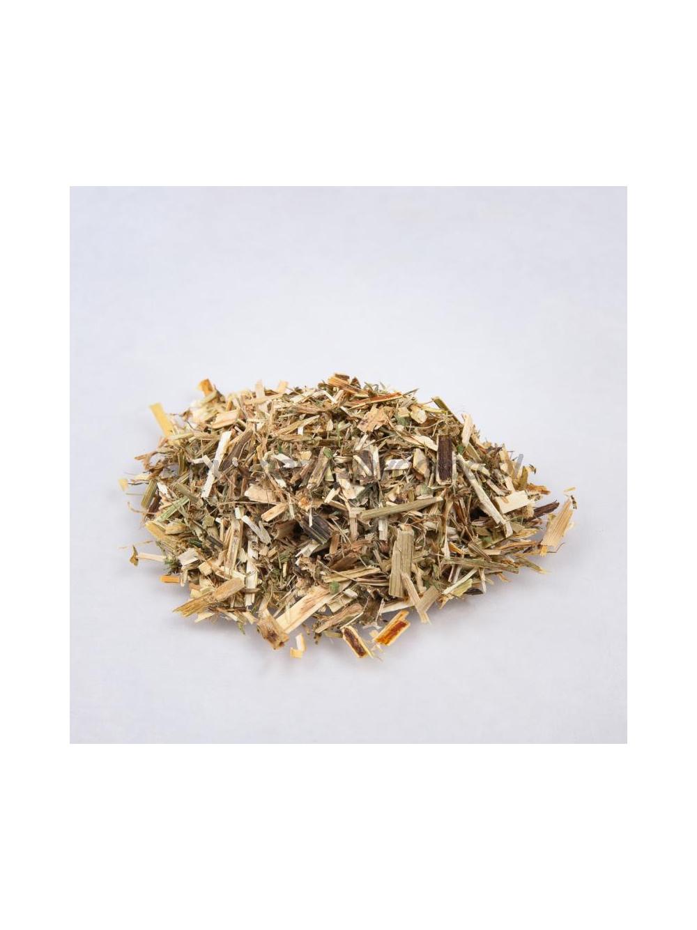 Lucerna ziele - alfalfa