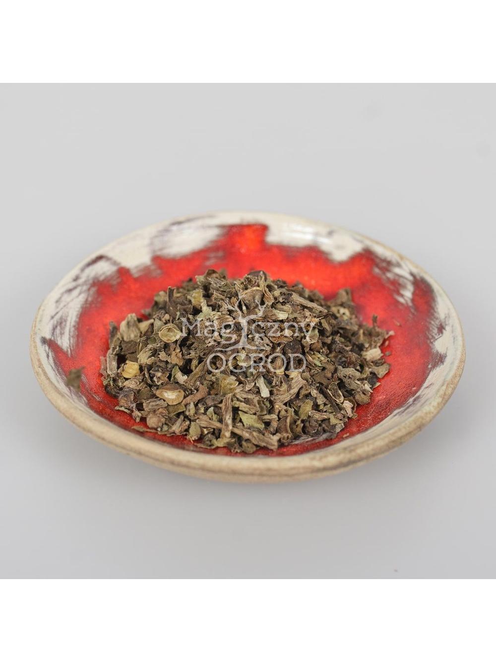 Portulaka pospolita
