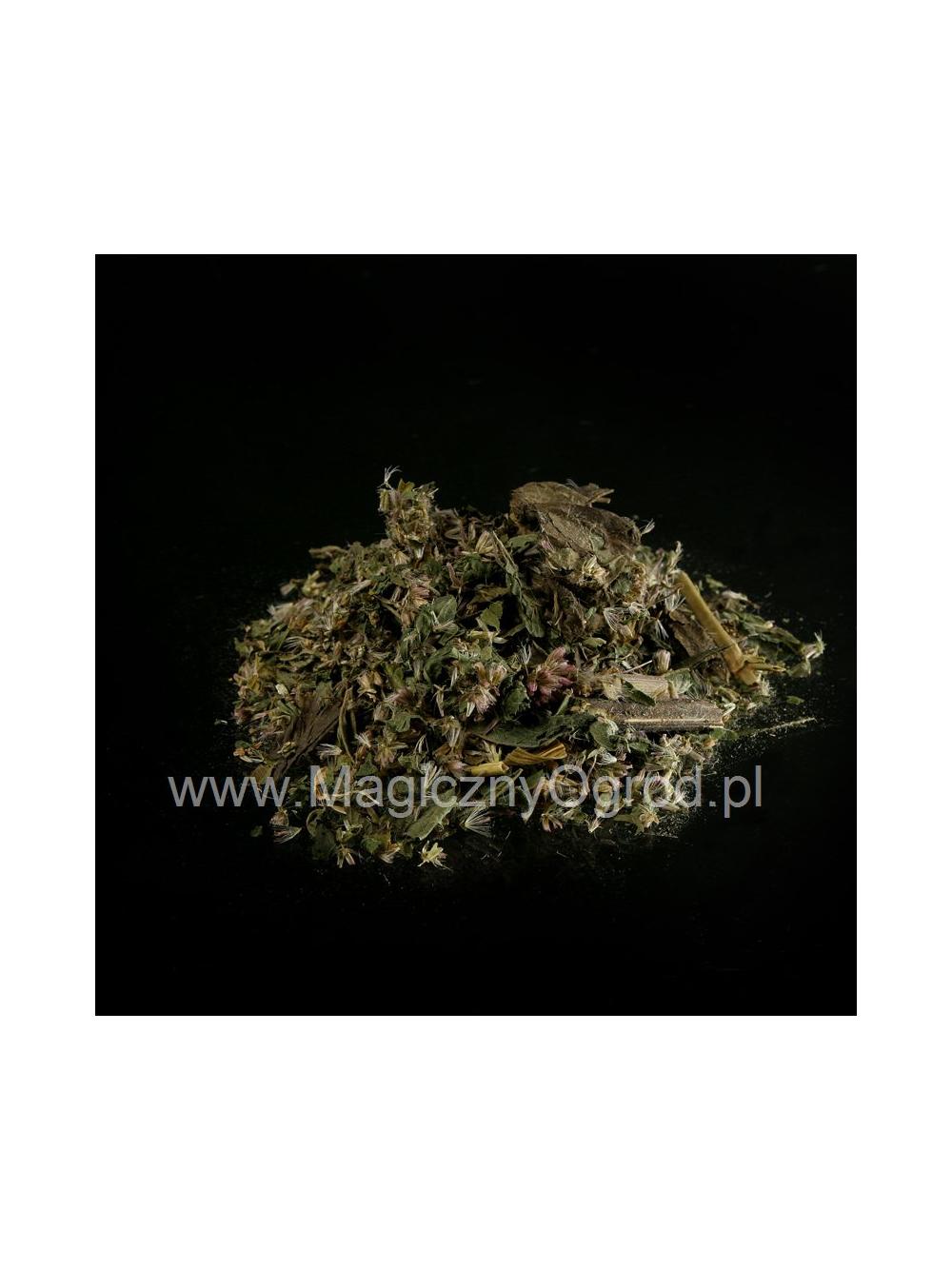 Sadziec purpurowy ziele