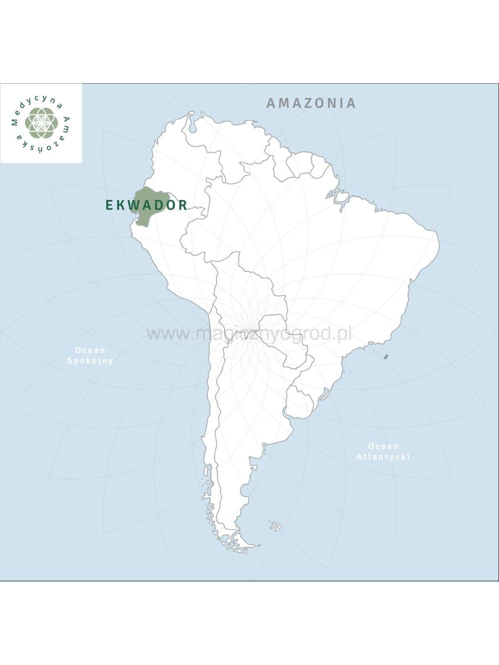 Caigua