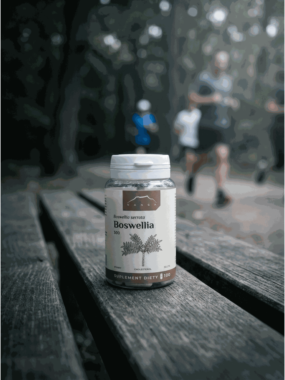 Boswellia 100 kapsułek x 500 mg