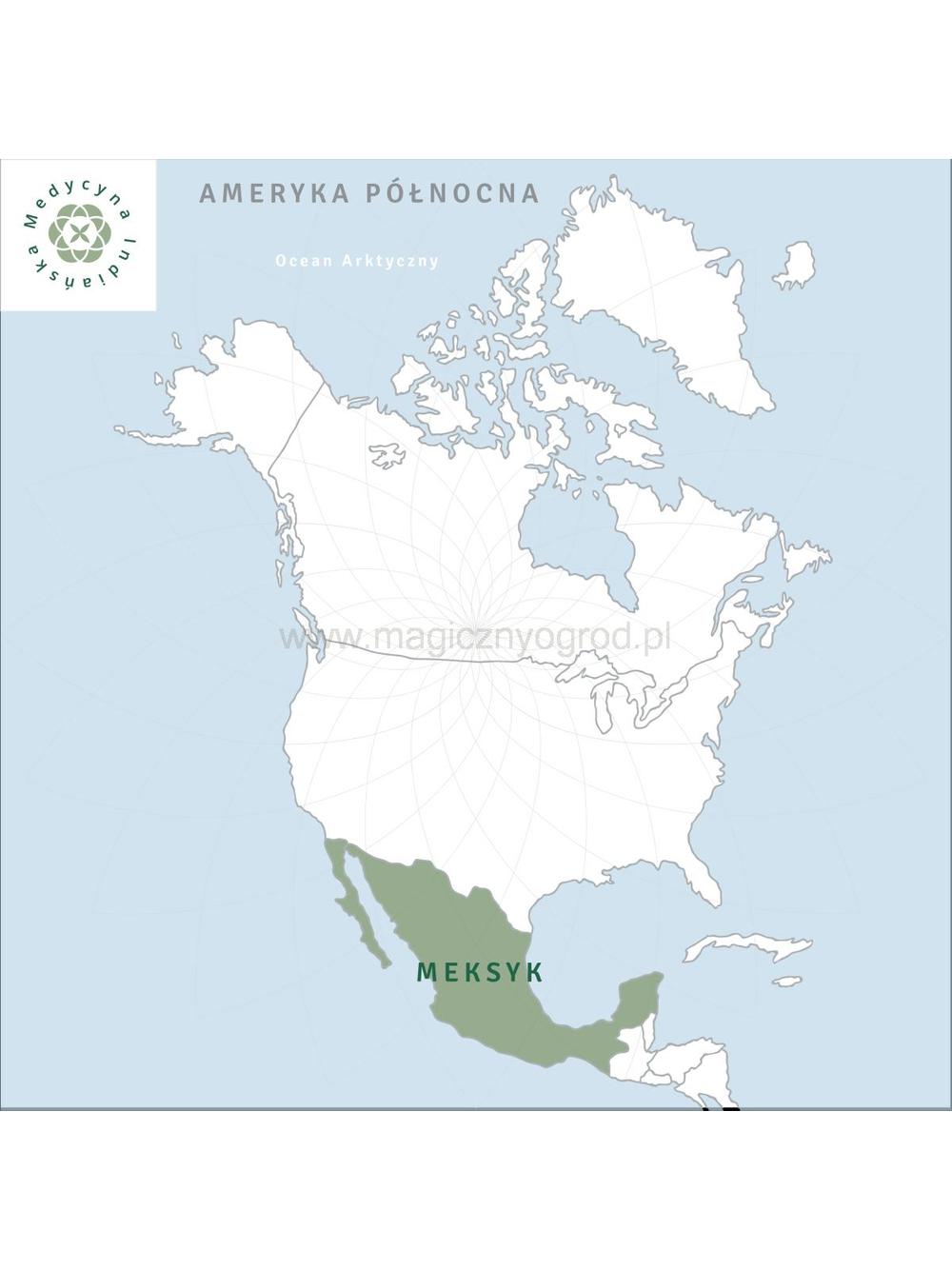 Yerba Santa pęk