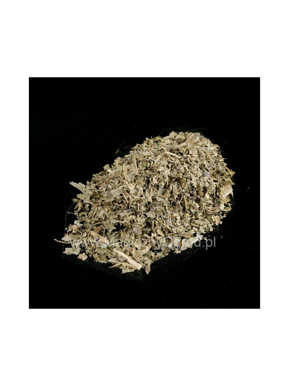 Werbena cytrynowa liść