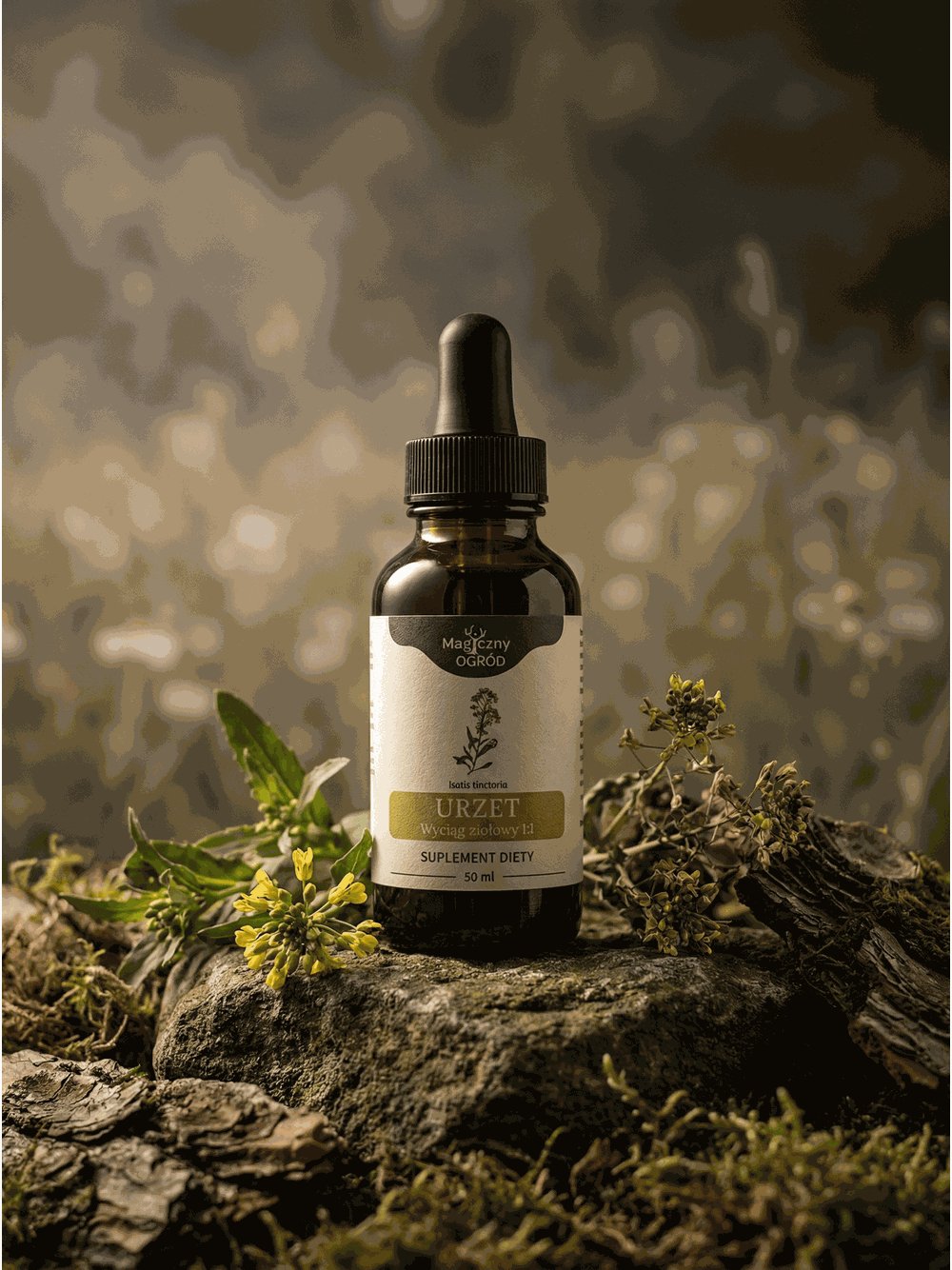 Urzet barwierski nalewka 1:1