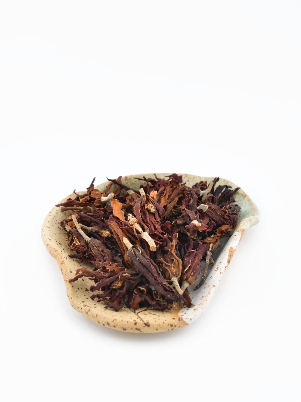 Magnolia kwiat