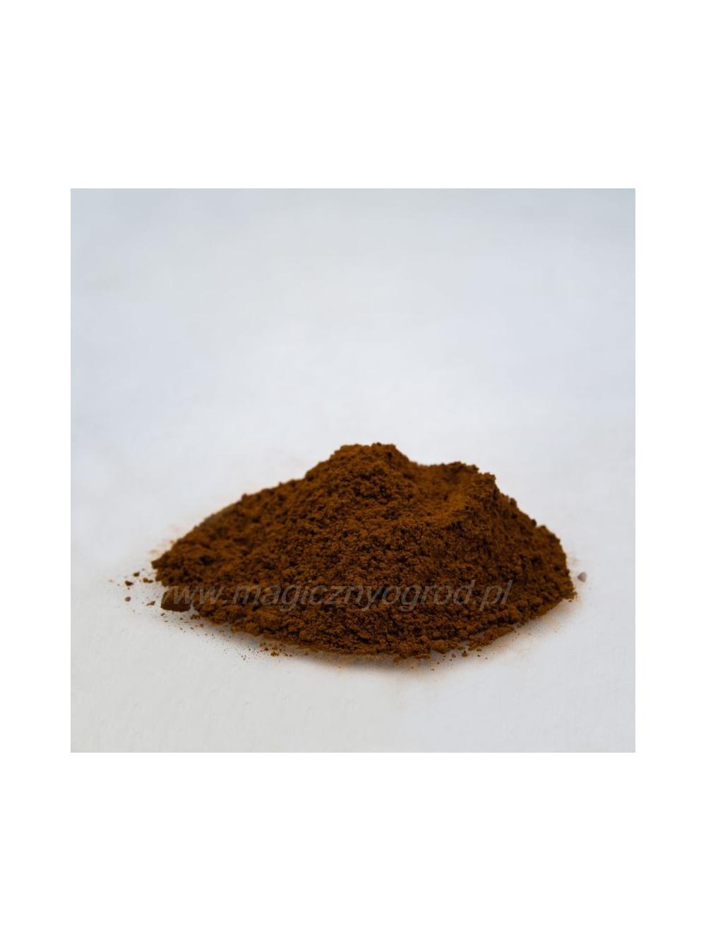 Chaga - guz brzozy