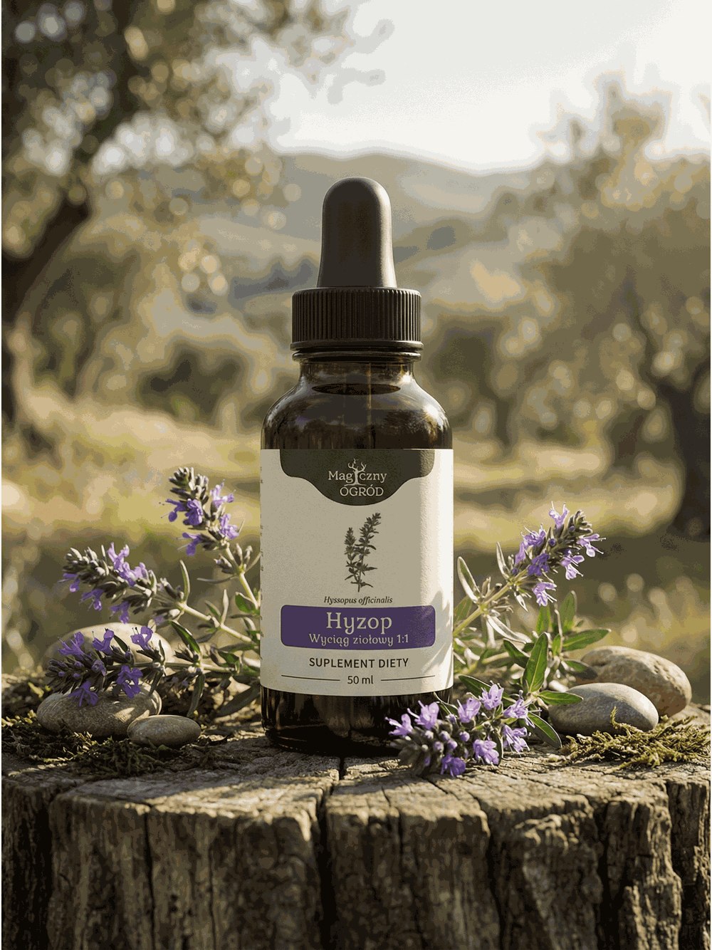 Hyzop nalewka 1:1