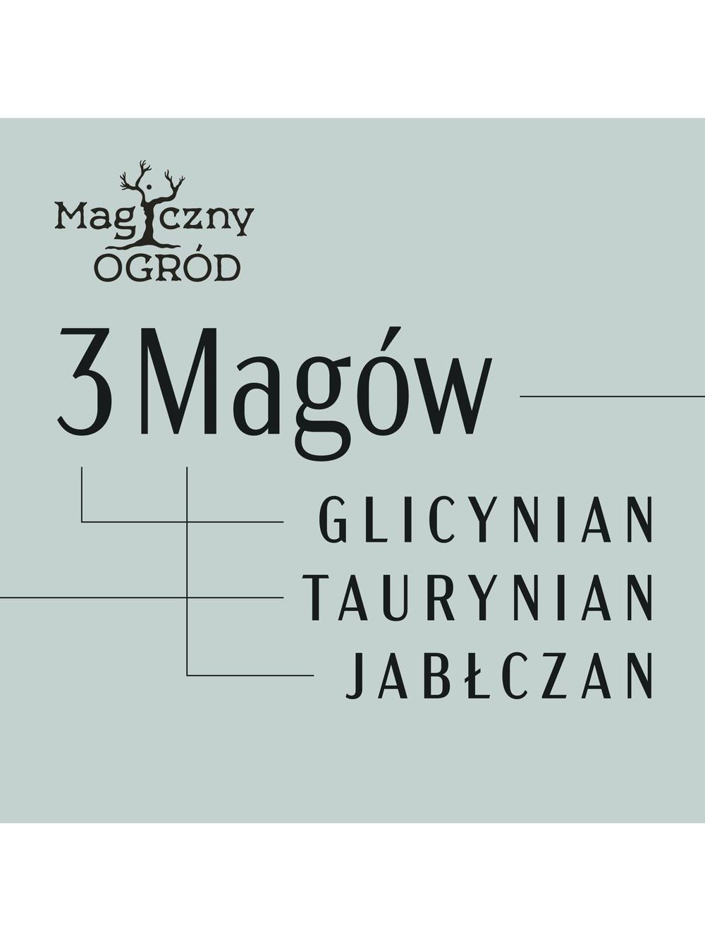3 Magów