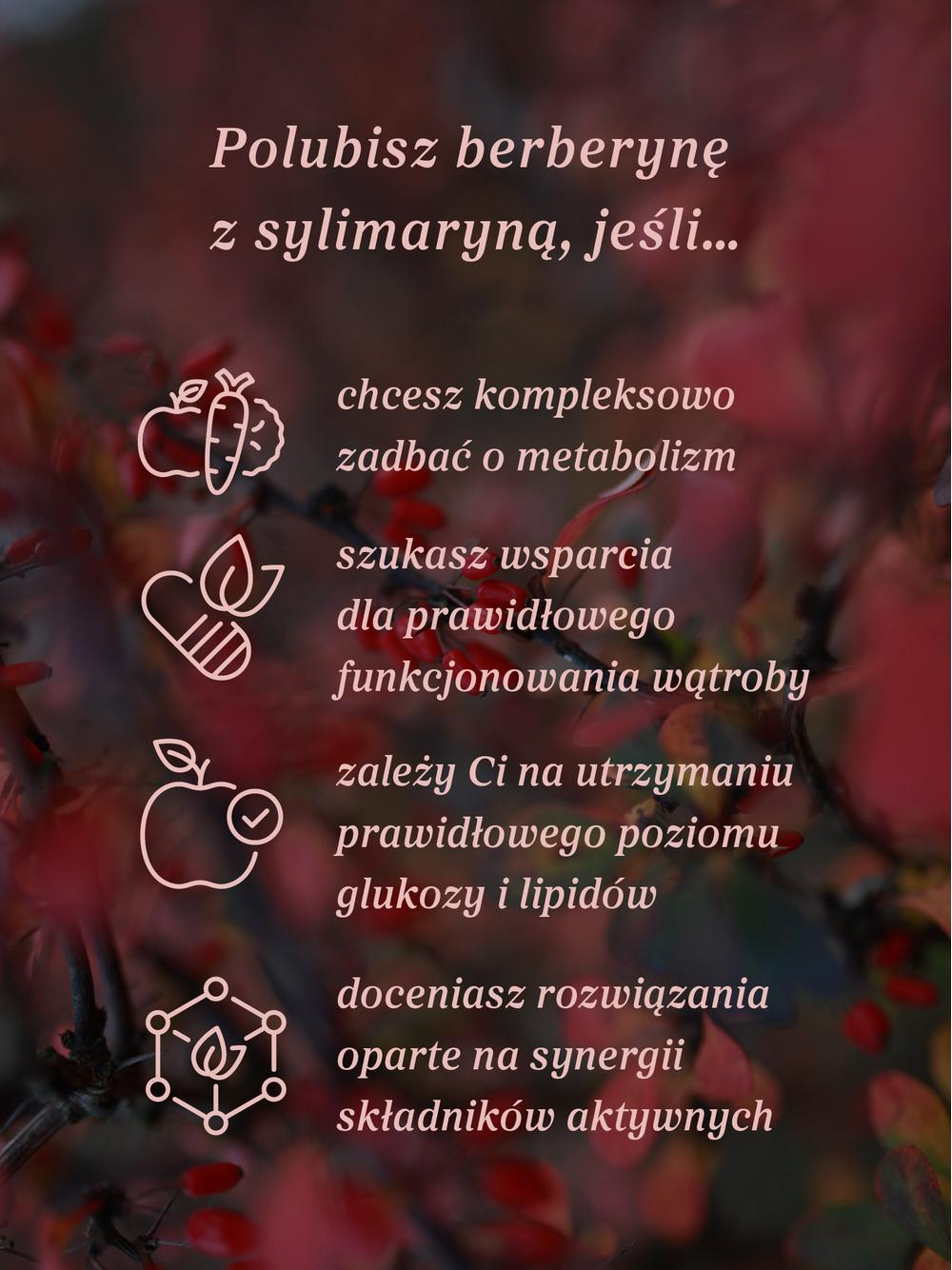 Berberyna z sylimaryną 100 kapsułek