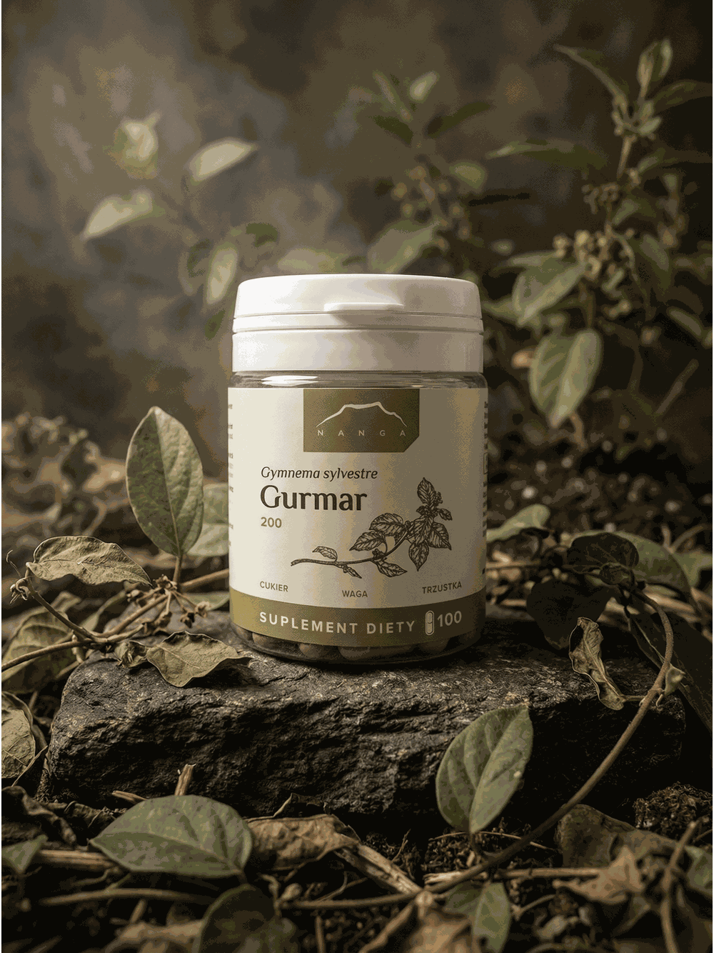 Gurmar 100 kapsułek x 200 mg