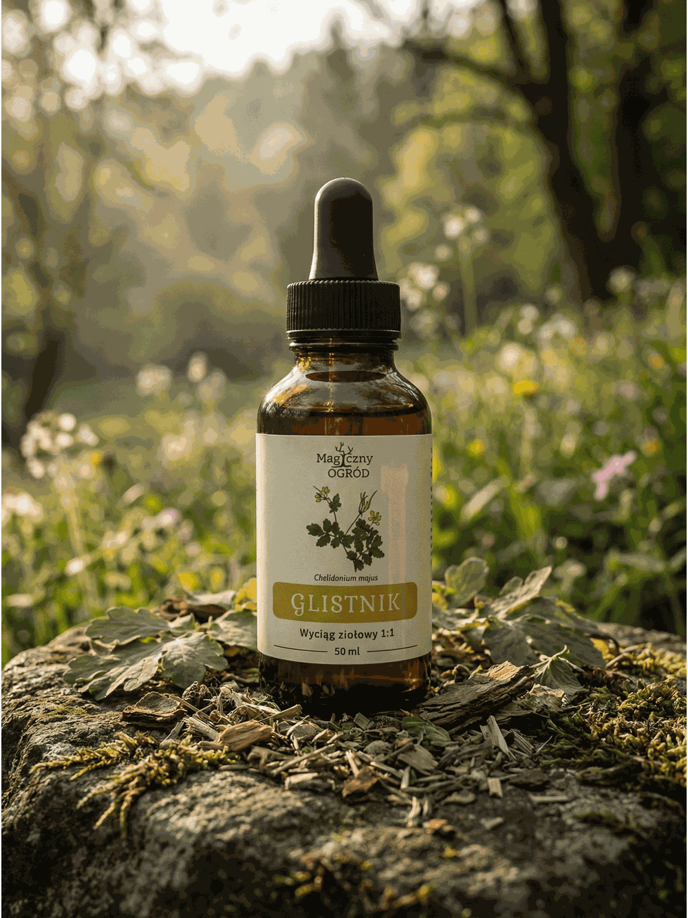 Glistnik nalewka 1:1