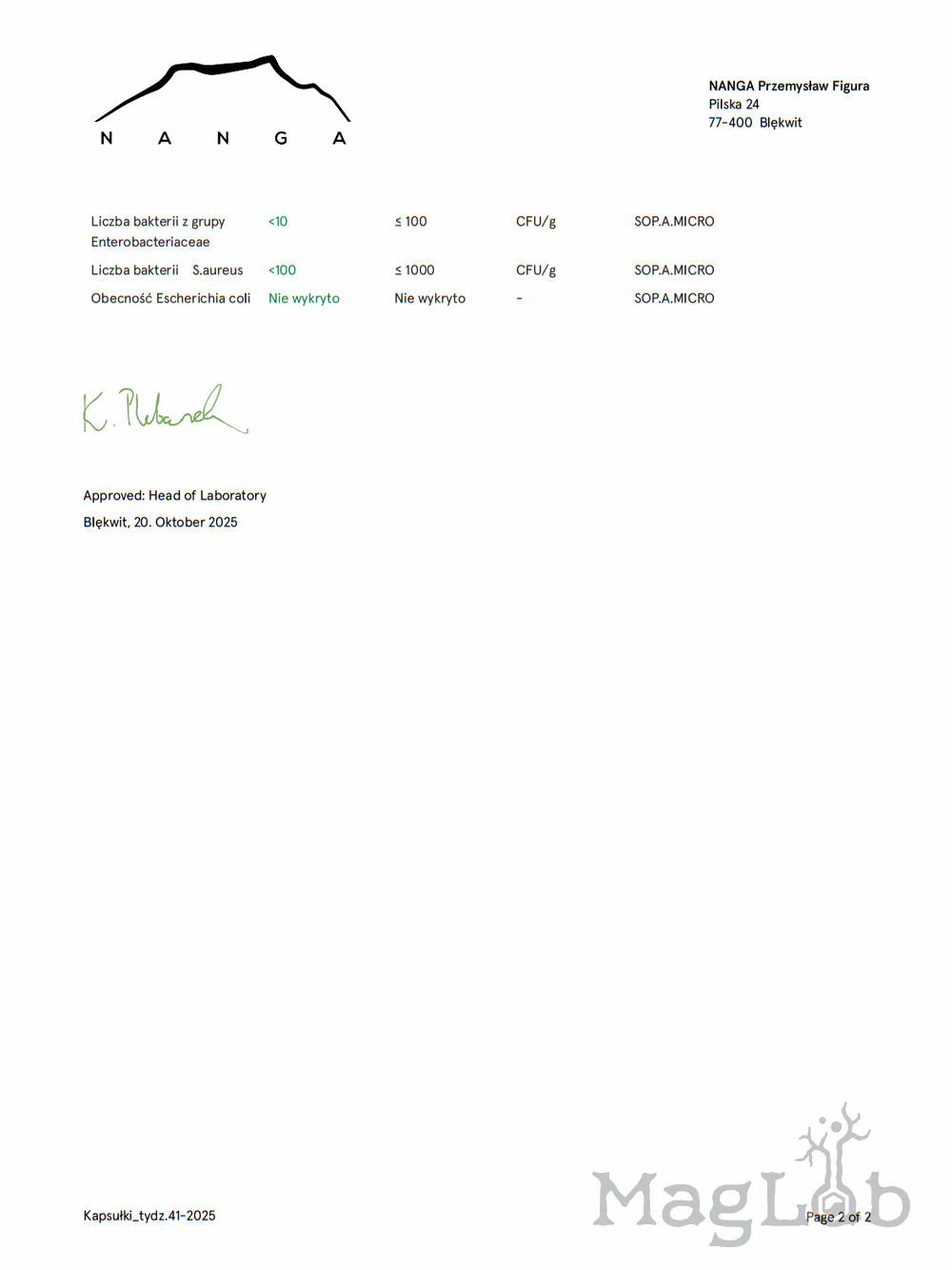 Żagwica listkowata (maitake) ekstrakt 100 kapsułek x 500mg