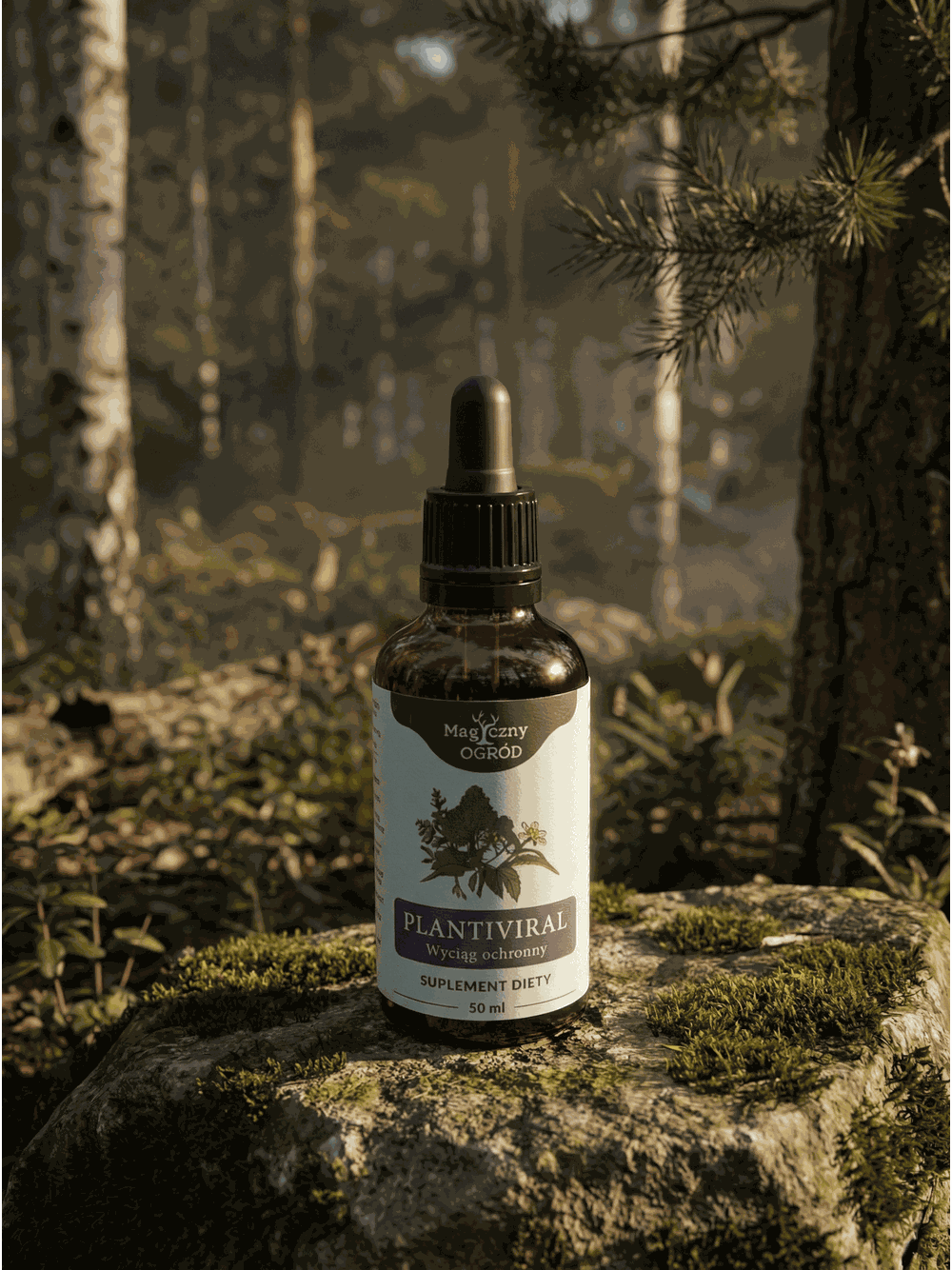 PLANTIVIRAL - zestaw nalewek według Buhnera