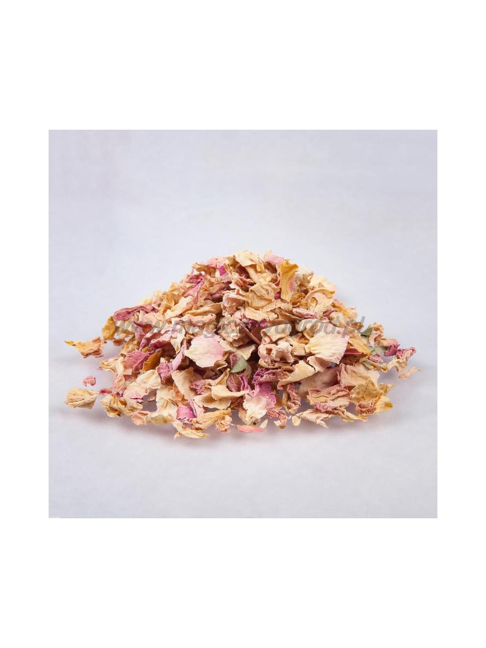 Róża damasceńska kwiat