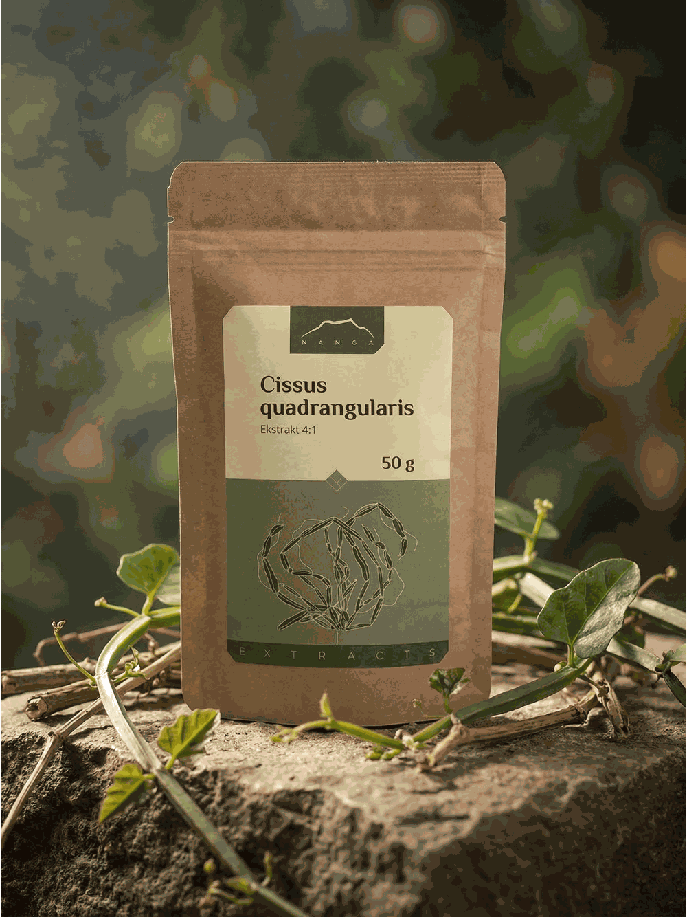 Cissus quadrangularis ekstrakt 4:1