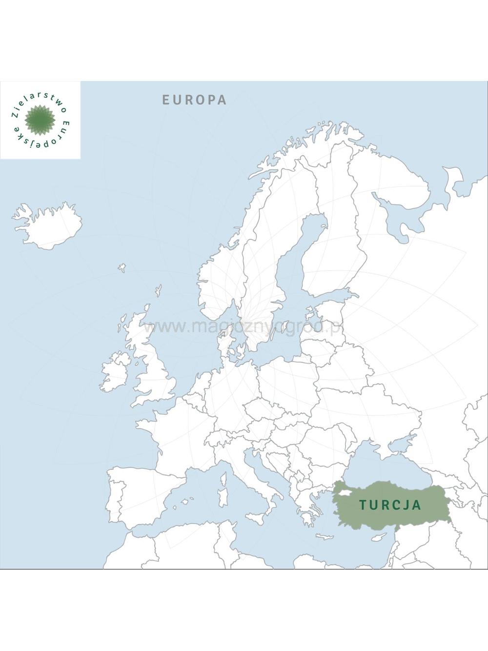 Olejek estragonowy 100% eteryczny Nanga