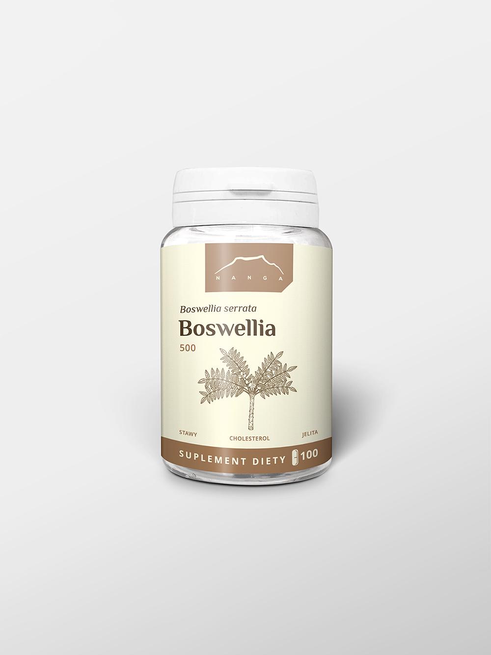 Boswellia 100 kapsułek x 500 mg