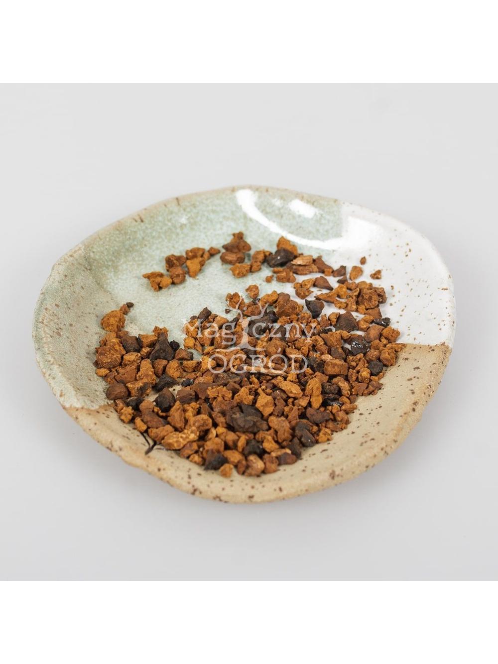 Chaga - guz brzozy