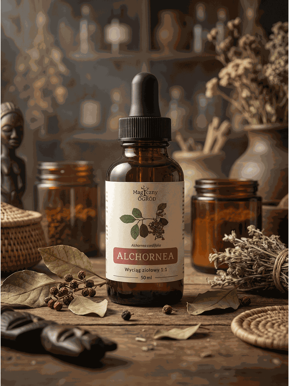 Alchornea cordifolia nalewka 1:1