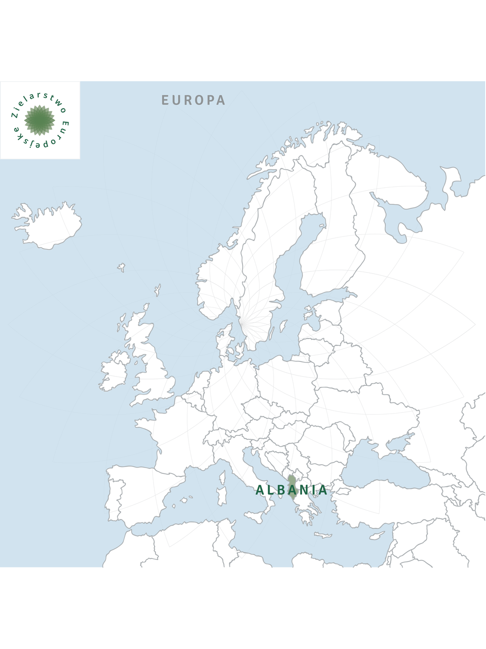 Dziewanna kwiat