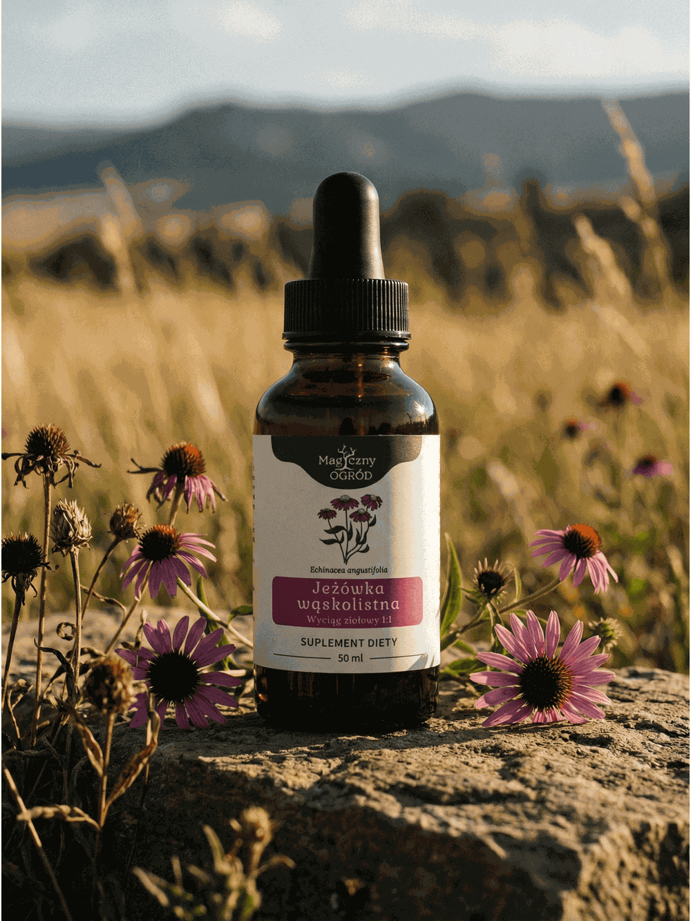 Echinacea angustifolia nalewka 1:1 50 ml